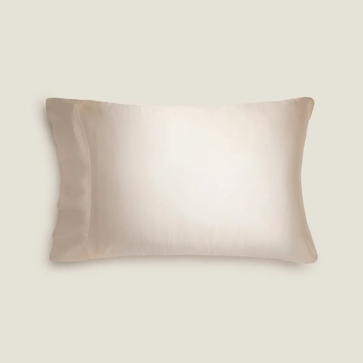 Funda de almohada seda y algodón satén 300 hilos Silkcot